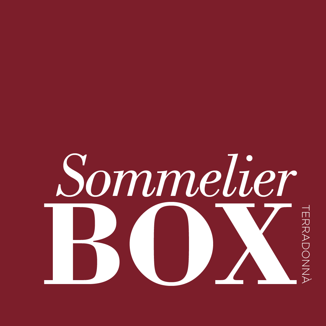 sommelier box testo